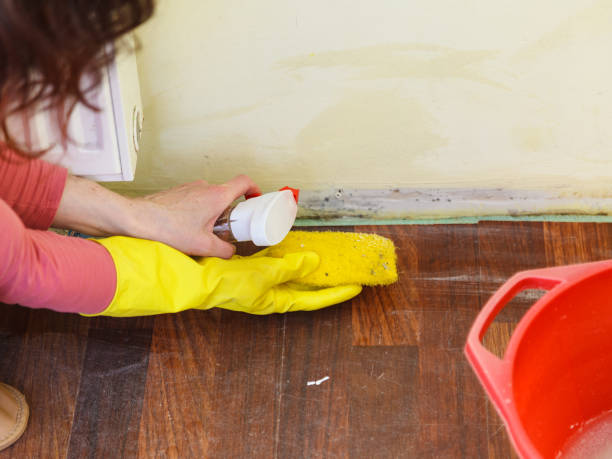 Asbestos and Lead Testing During Mold Inspection in Manito, IL